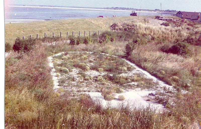 103.jpg
