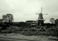 d.13
